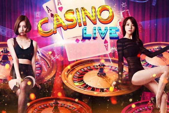 Bingo Cash پاکستان ریئل منی گیمز